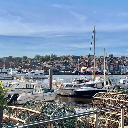 Bell Island ويتبي