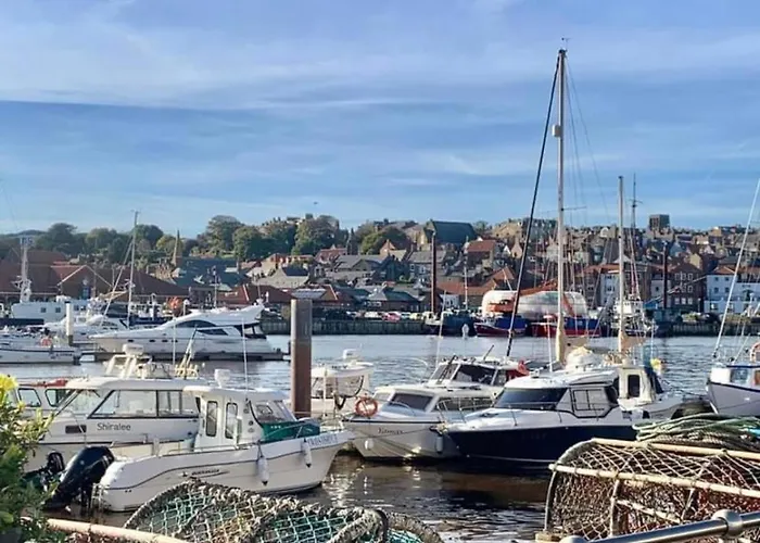 Bell Island ويتبي