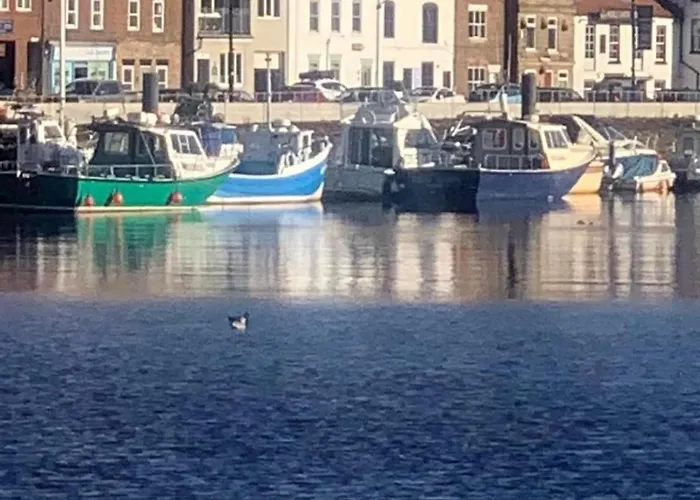 아파트 Bell Island *